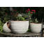 Ensemble de 3 pots de fleurs extra larges en terre cuite côtelée - Intérieur/Extérieur