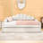 Tamez Full Wooden Daybed Frame with Shall Shaped Backrest and Trundle-1307928559