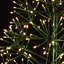 Arborescences & lumières éclairées & branches 380-4344893