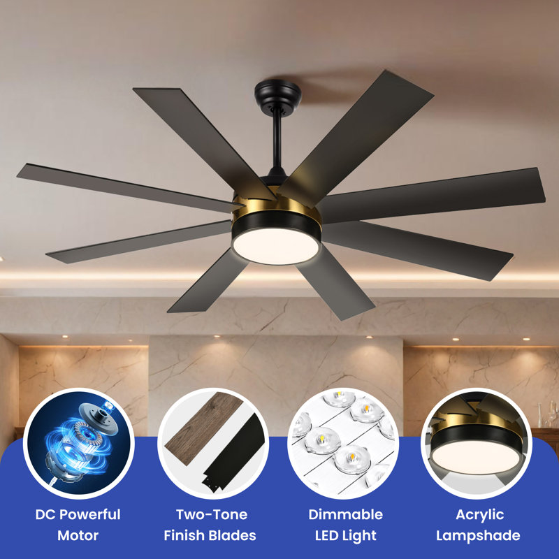 Chemane 60'' Ceiling Fan with LED Lights, Black, Gold/Black