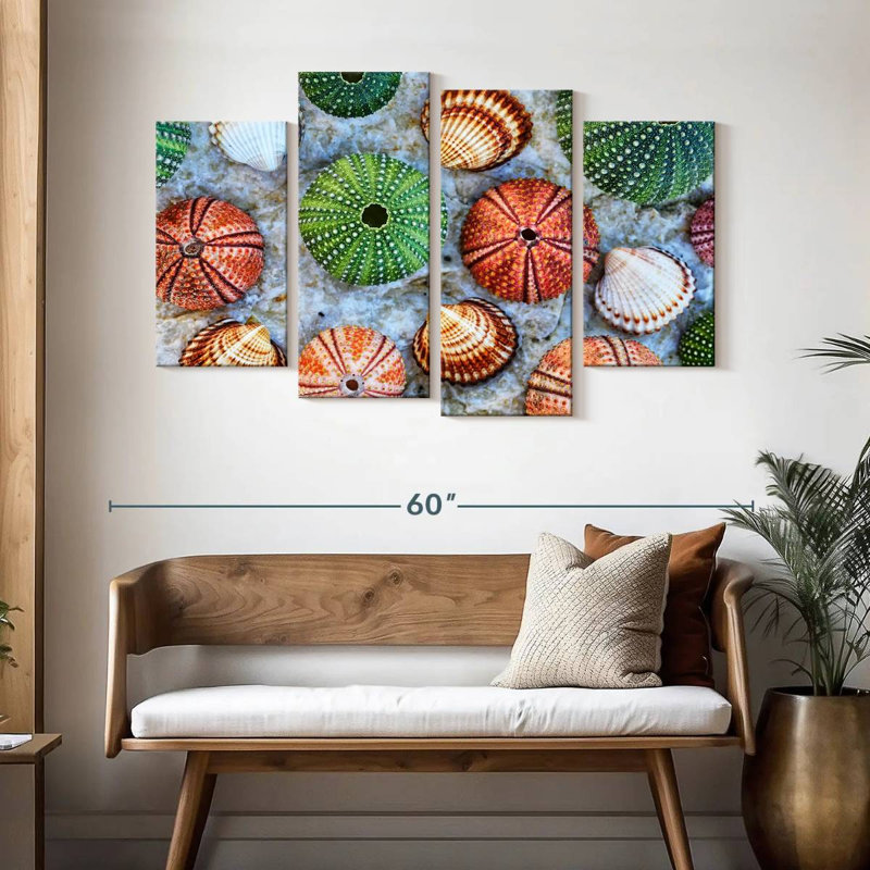 Aletra Colorful Seashells, 32" H x 52" W