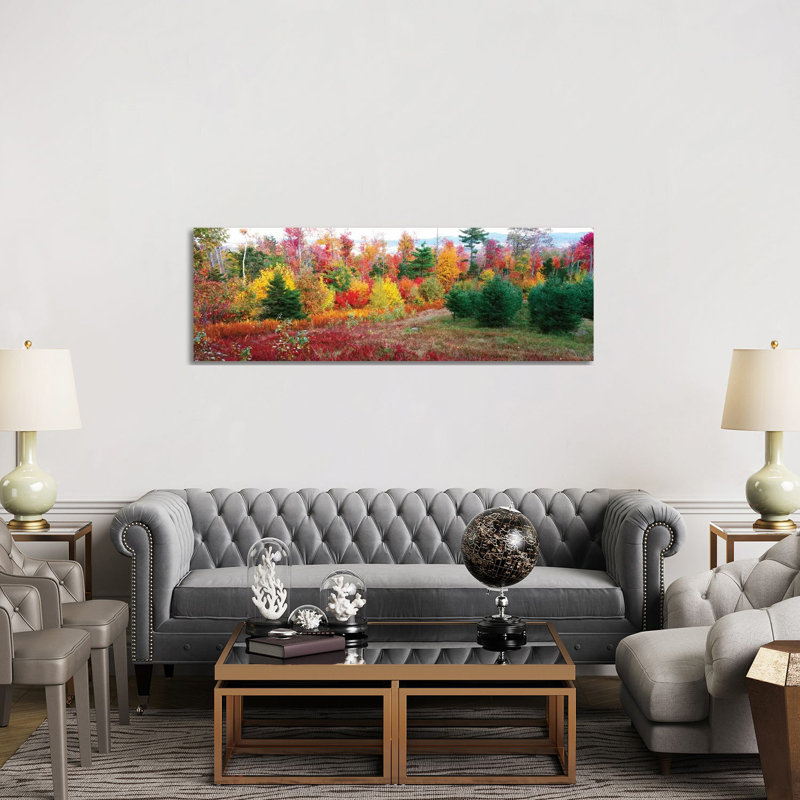 Christmas Trees and Fall Colors, Lincolnville, Waldo County, Maine, USA 1 Piece Wrapped Canvas Panoramic Wall Art