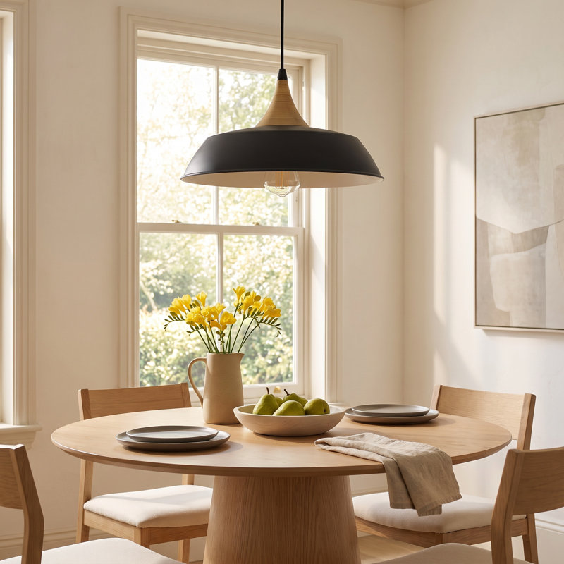 Elisabet 1 - Light Dome Pendant, Black