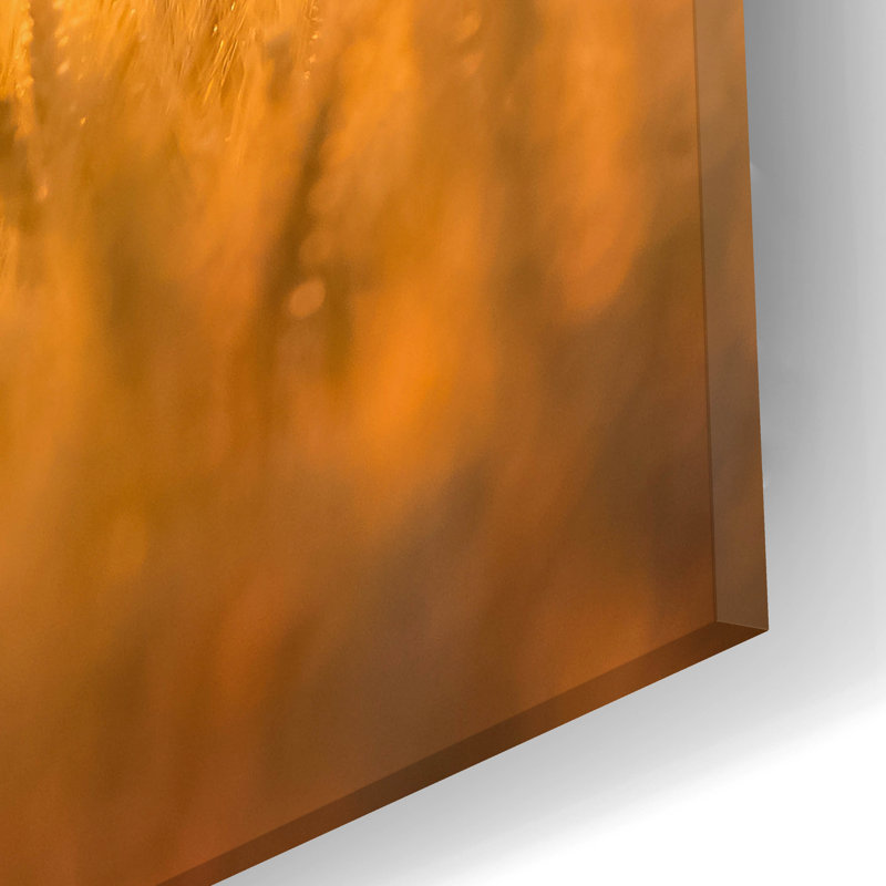 " Golden Wheat " by Jonathan Ross, 12" H x 24" W