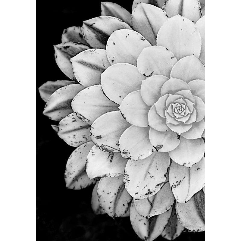 Bloom Print by Art Collector, Plexi, 52" H x 36" W