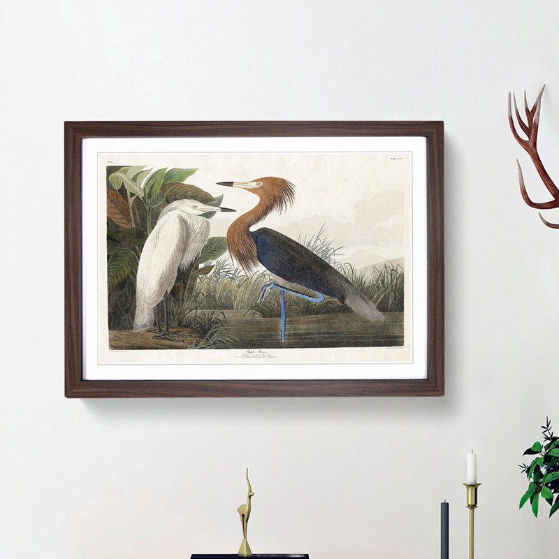 Heron by John Audubon - Picture Frame Painting Print, Walnut Framed, 36cm H x 48cm W x 2cm D