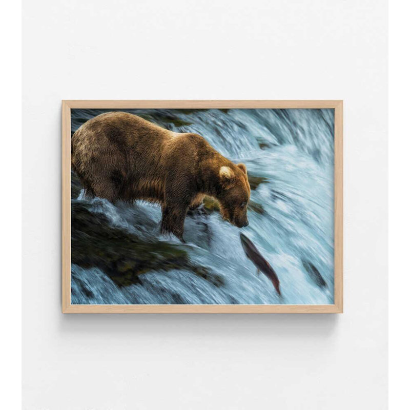 Reproduction d'ours et de saumon: art colonial rétro de la faune, Tanné, H 36 po x l 48 po