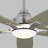 Lise 60'' Ceiling Fan with LED Lights-1505690344
