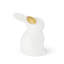 Golden Eared Hare, White-1174788610