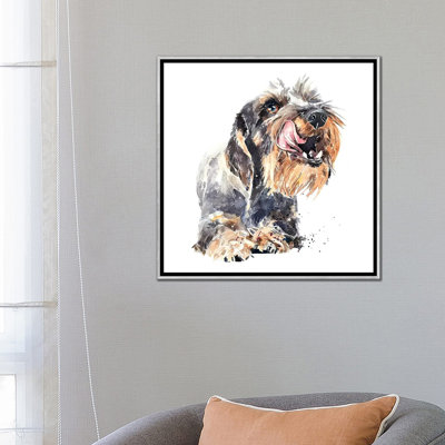 " Wirehaired Dachshund I " by EdsWatercolours