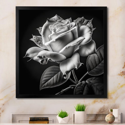 «Blossoming White Rose On Black II», art mural rose