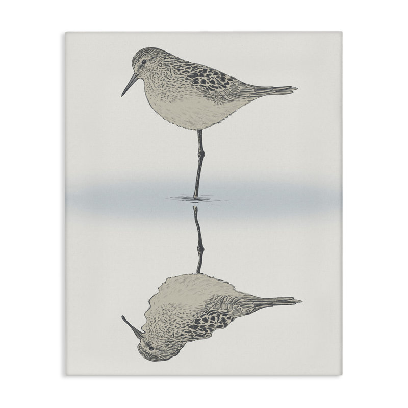 «Tranquil Sandpiper Bird Reflection» par Ziwei Li, H 20 po x l 16 po