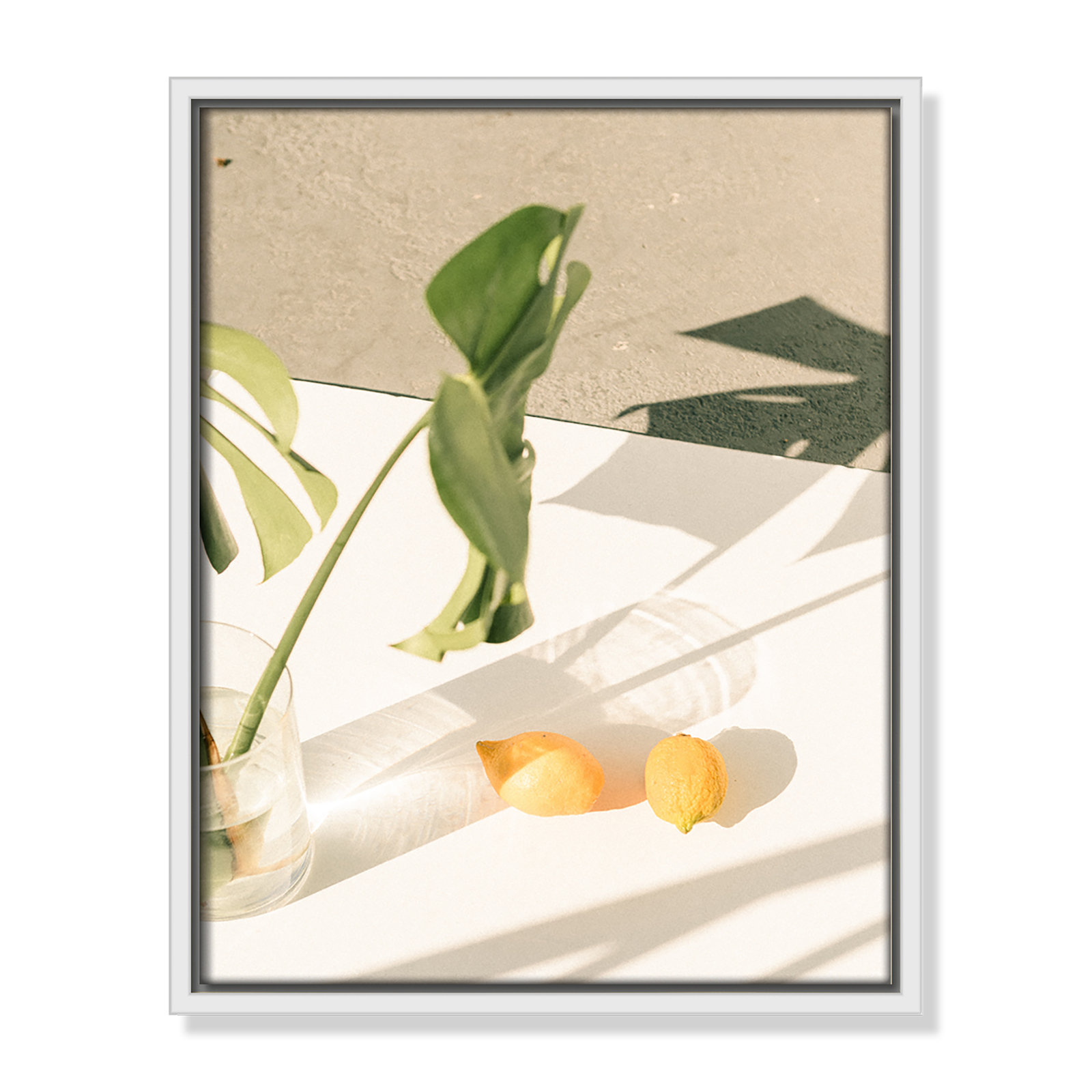 Citrus and Palms Print, 15.5'' H x 12.5'' W x 2'' D, White Framed