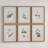 Floral Botanical Study - 6 Piece Single Picture Frame Print