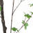 59.1"H ARTIFICIAL DISC LEAF TREE