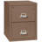 Fireproof 2 Steel Vertical Filing Cabinet-12136690-216453-139380639