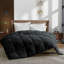 Wayfair Sleep Lightweight Down Alternative Comforter-459250365-403424111