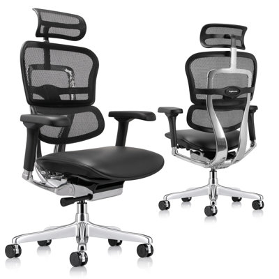 Eurotech Seating Ergohuman Executive Chair with Headrest