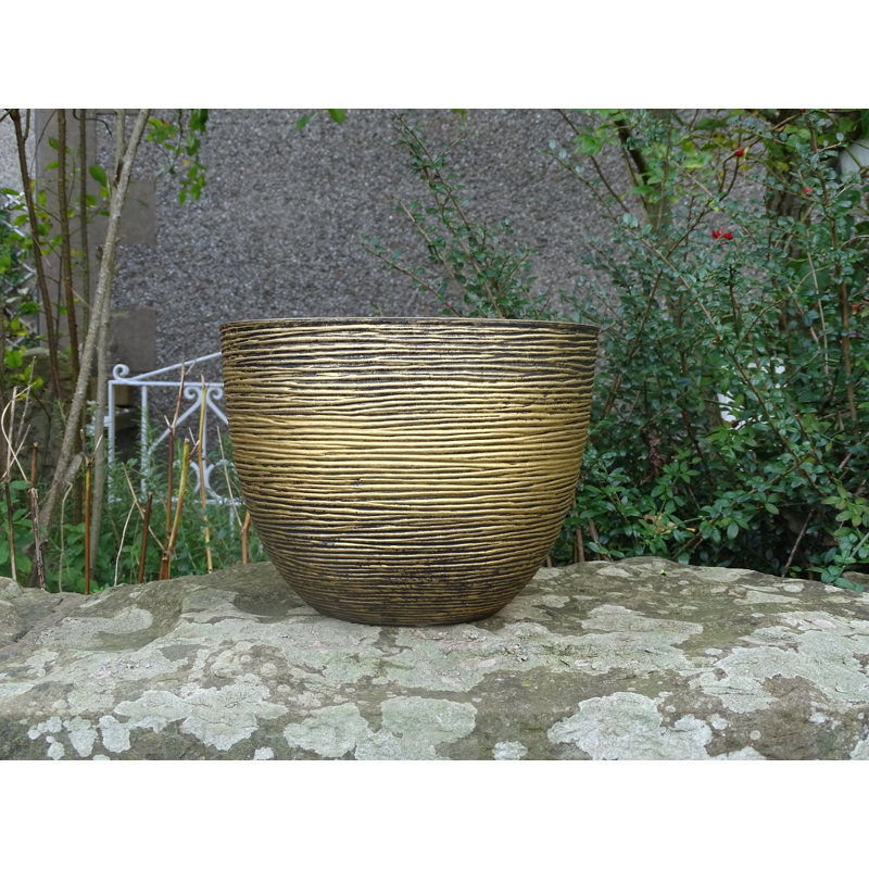 Colin Planter, Antique Gold, 24cm H x 29cm W x 29cm D