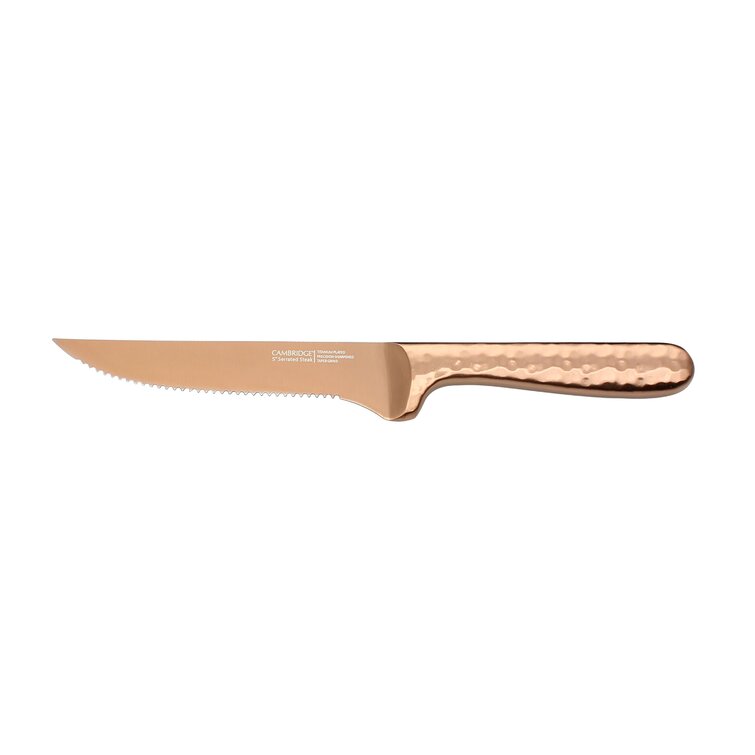 Robert Irvine 10-Piece Hollow Handle Knife Block Set - Brushed Gold