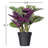 16.1'' Faux Calathea Plant in Pot
