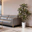 Dracaena artificiel Real Touch, fer brésilien, grand pot à fleurs blanc-1373960542