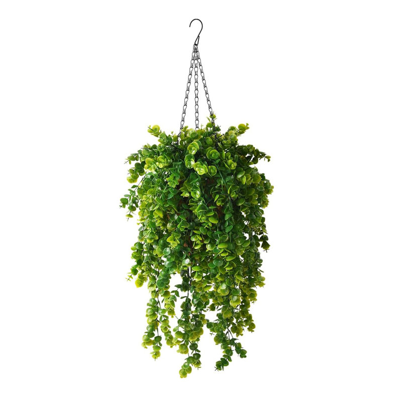 Eucalyptus Arrangement in Basket