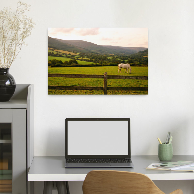 Cheval dans un champ, comté d'Enniskerry, Wicklow, République d'Irlande, art contemporain abstrait, paysage de cheval