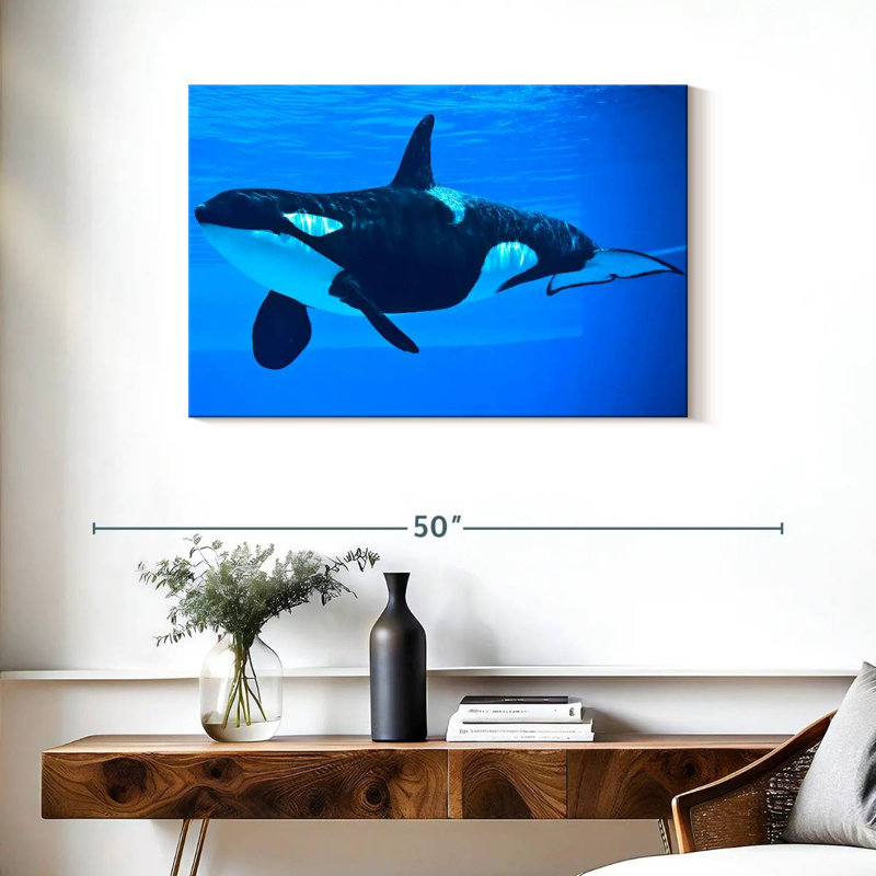 Brampt Friendly Killer Whale, 24" H x 36" W