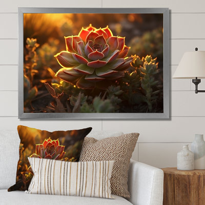 «Succulent Desert Cactus Field Burning Sunset II», reproduction sur toile