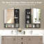 Pharmacie avec miroir pour salle de bain-133340098