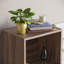 Gerardi 32cm W Standard Bookcase-70966733-28126304