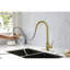 Robinet de cuisine rétractable en acier inoxydable doré - Buse haute pivotante à 360 °, poignée simple pour un ajustement facile de la température et du débit de l'eau Profondeur, largeur 10,24, 9,14-980510458