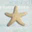 « beach collection ii », reproduction d’impression sur toile tendue-73149931-73149932-73149933