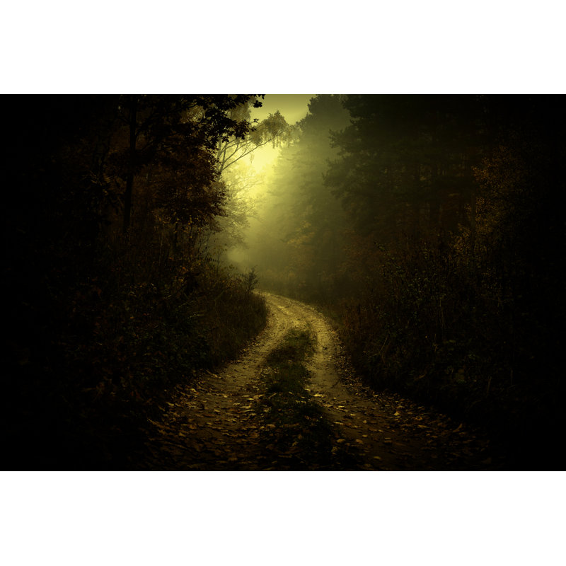 Road In Dark Foggy Forest by Antagain - Wrapped Canvas Print, 51cm H x 76cm W x 3.8cm D