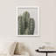 «Cactus Succulent Southwest Texas Mexico Saguaro» sur papier-98266325-98266330