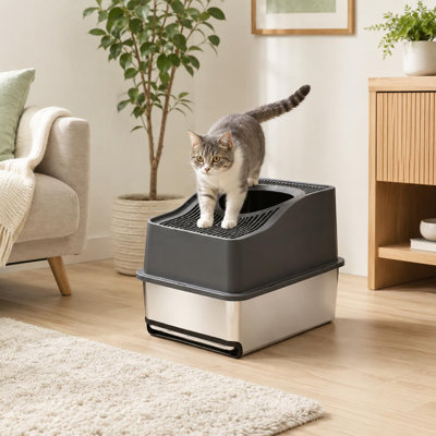 Litter Box