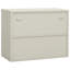 2 -Door 1 -Shelf Cabinet Office Storage Cabinet-891457076