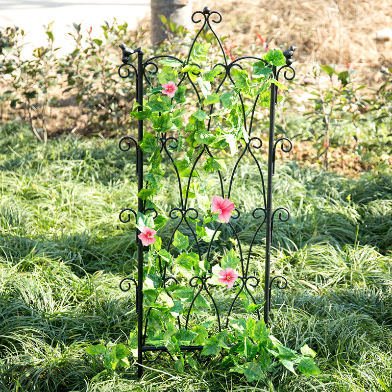 Treillis de jardin extérieur en métal Ganae