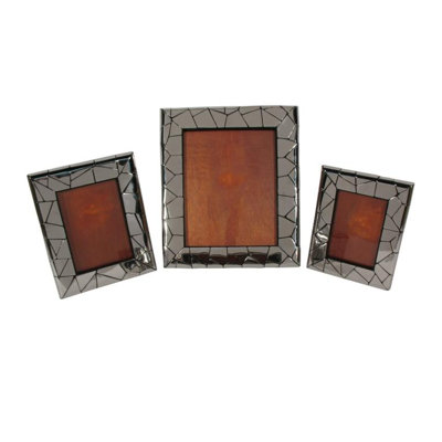 Chameleon Stainless Steel Picture Frame