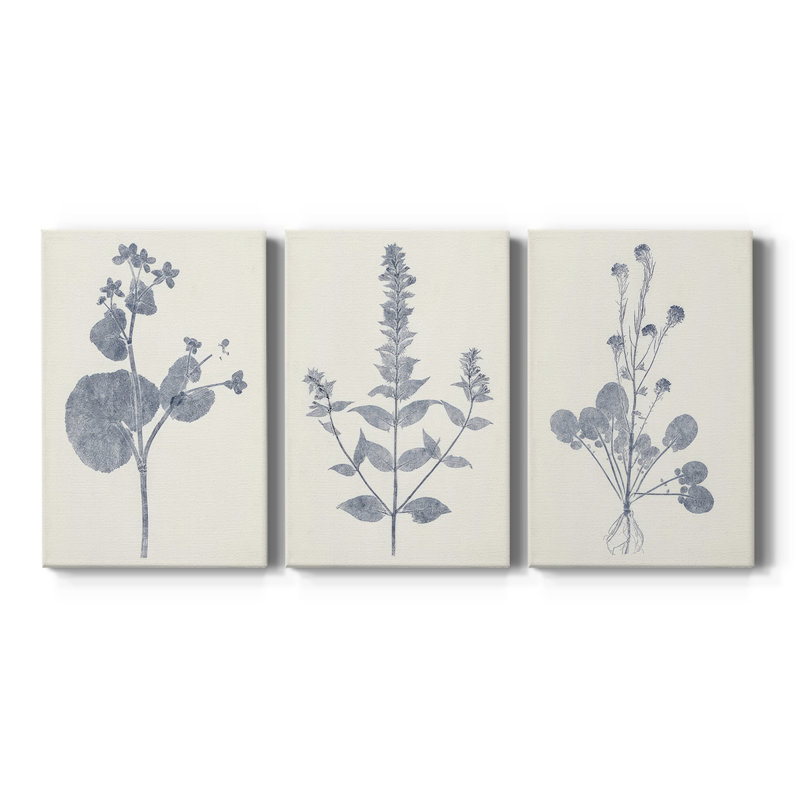 Marine Botanicals VI - Toile tendue avec châssis - 3 pièces, H 27 po x l 54 po