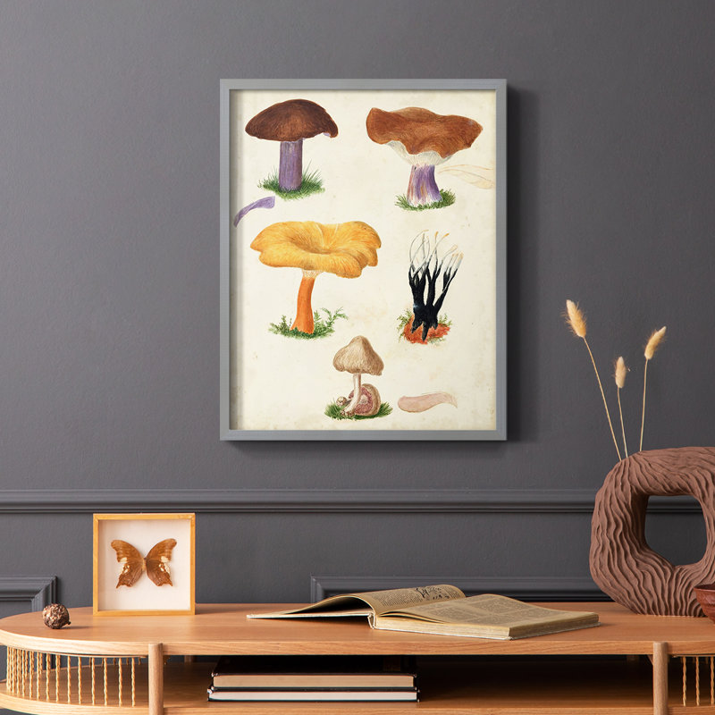 Reproduction encadrée Mushroom Species VII - bois massif, Gris, H 10 po x l 8 po