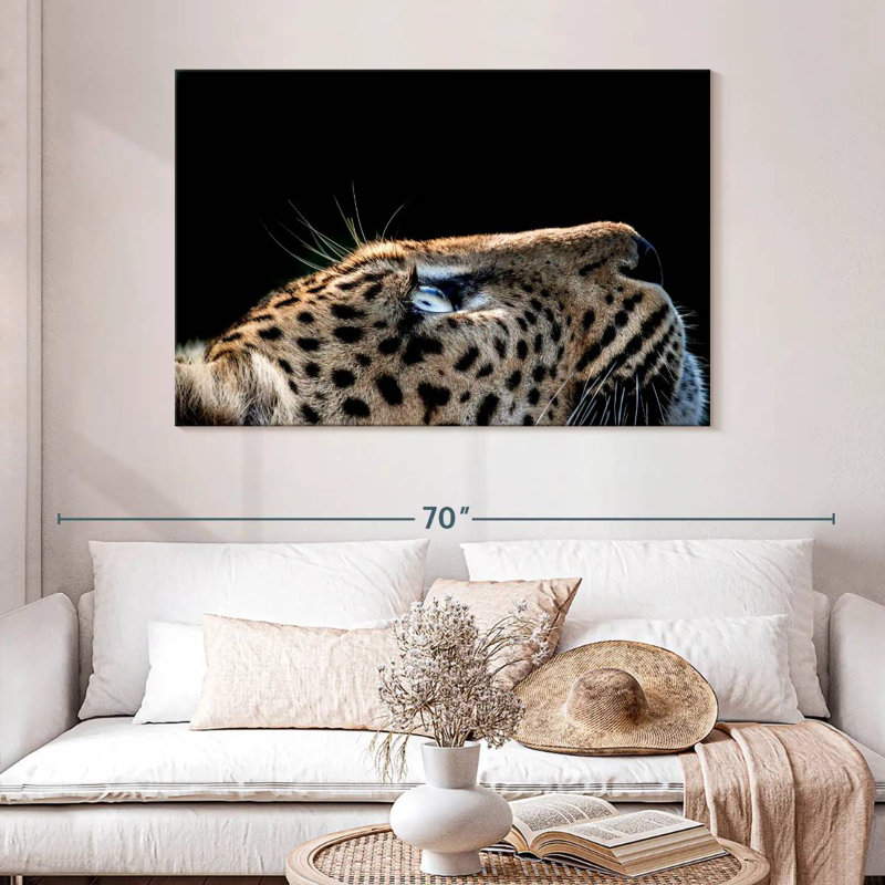 Brampt Leopard Looking Up