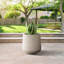 Grand pot à fleurs Brenno-310169912-302348594