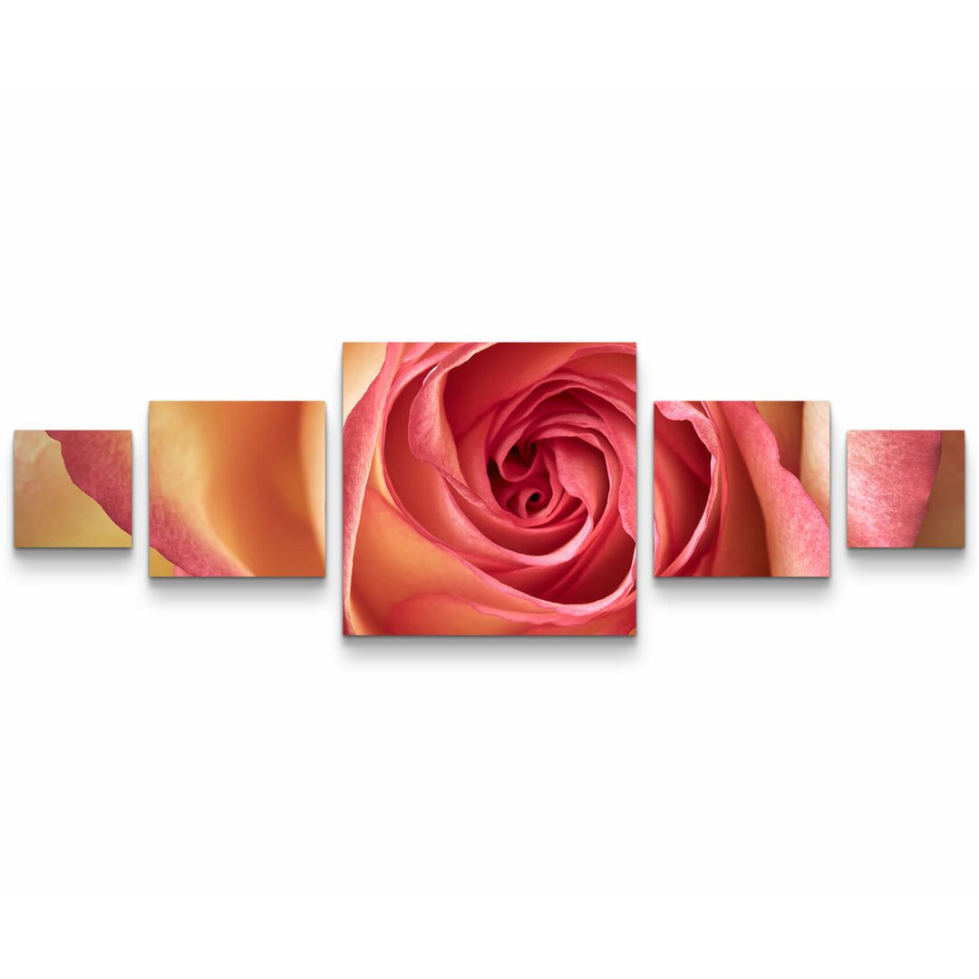 5-tlg. Leinwandbilder-Set Pinke Rose