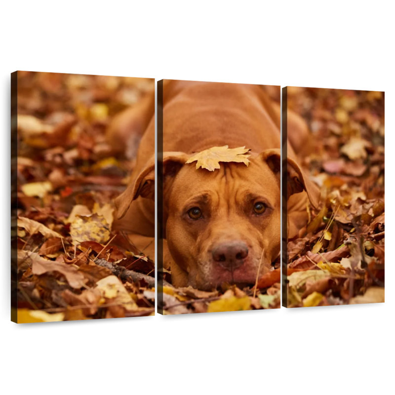 Cute Autumn Pitbull, 48" H x 74" W