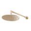 Arch Minimal Shower Arm-44167721
