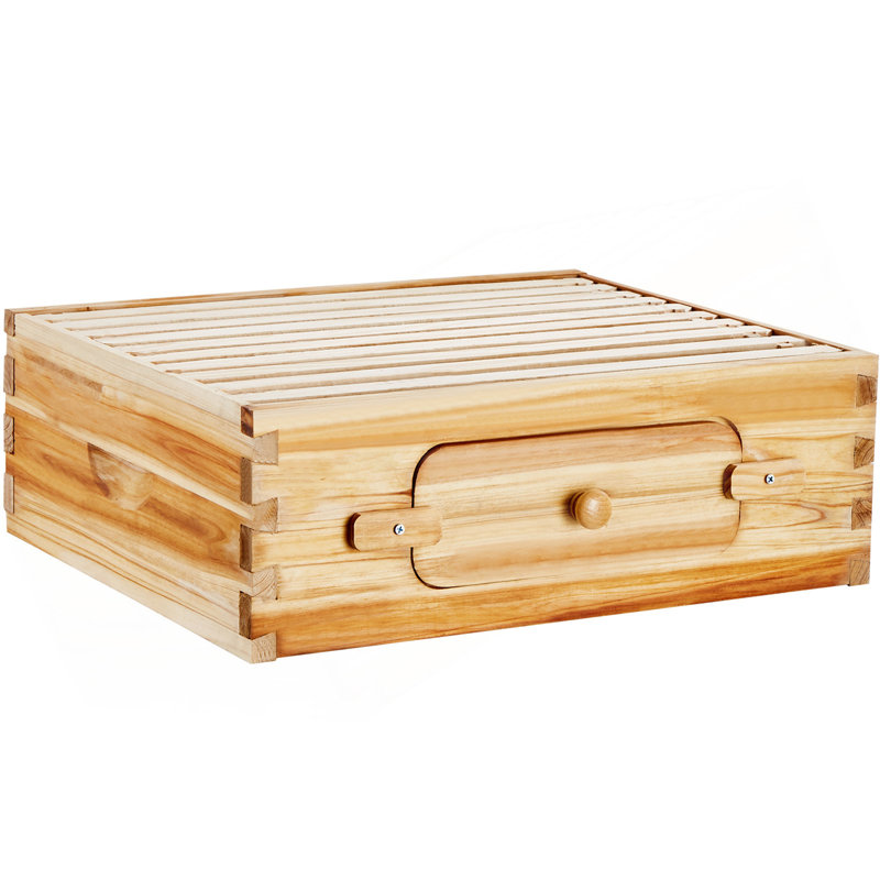 Trousse de départ pour boîte moyenne Bee Hive, 100% bois de cèdre naturel enduit de cire d'abeille, trousse de ruche Langstroth avec 10 cadres et fondations, fenêtres en acrylique transparentes pour débutants et apicoles