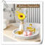 Plateau Wolfort-1724739510