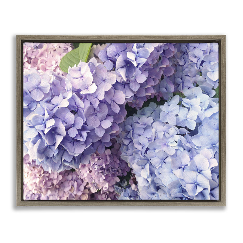 Pétales de fleurs d'hortensia pastel, H 21 po x l 17 po, Cadre flottant orme Montalcino